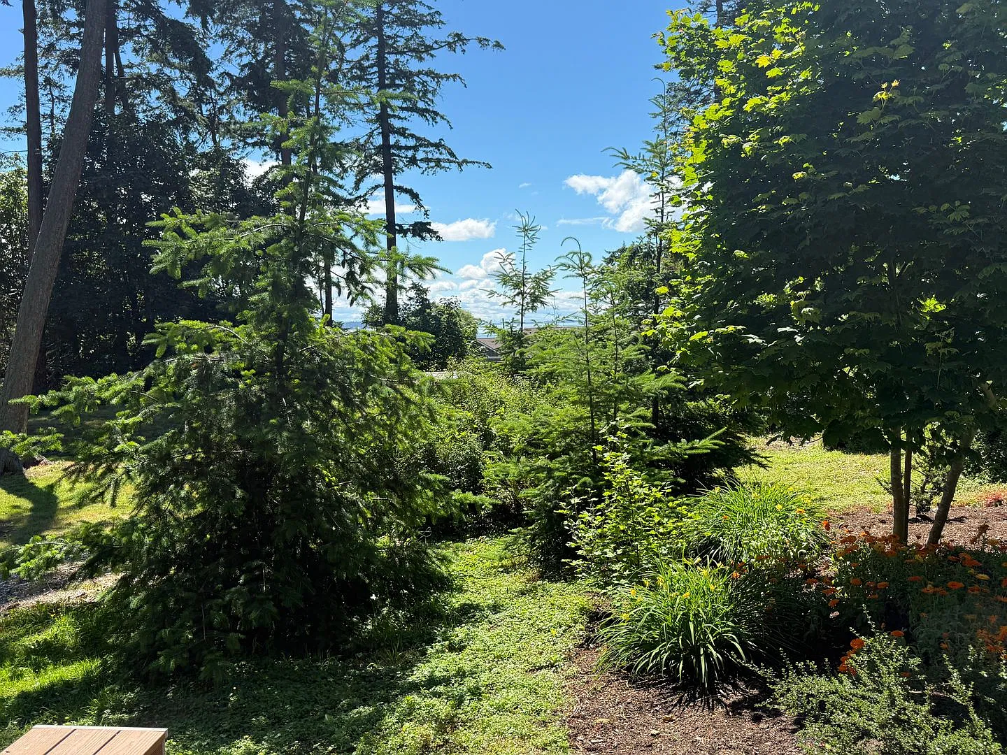 Tiny house on Samish Island — Photo 4