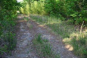 3rd image of 4425 Highway 25 S