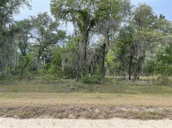 LOT 26 SE 16th Ln Lot 26, Morriston, FL 32668