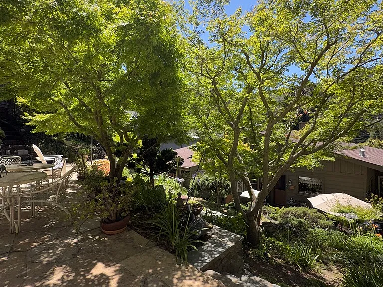 350 Chapman Dr — Photo 13