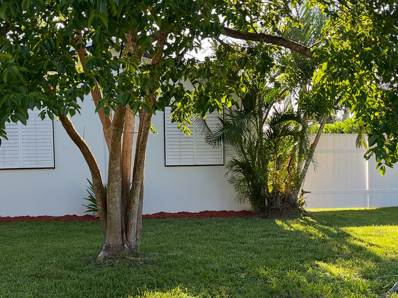 918 Marlin Dr — Photo 4