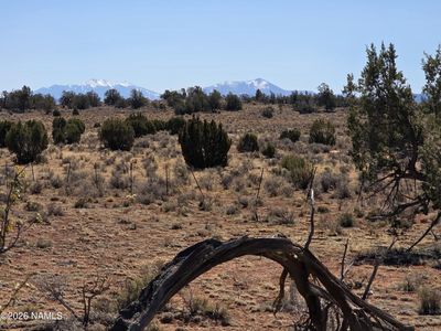 1153 Indian Meadows Rd, Williams, AZ, 86046