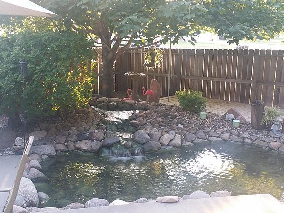 Pond