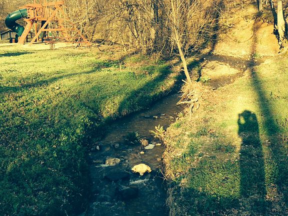 Creek runs thru neighborhood