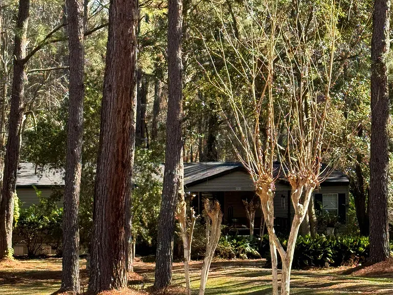 4359 Maylor Rd — Photo 16