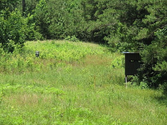 4th image of Off County Rd #3593