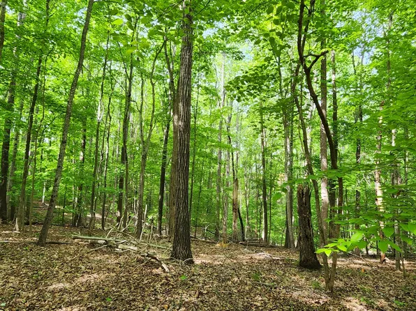 100 Woodley Rd, Moneta, VA 24121