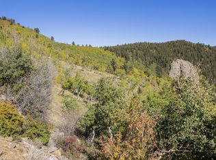 1701 Robinson Hill Rd  Lot 7, Black Hawk, CO 80422