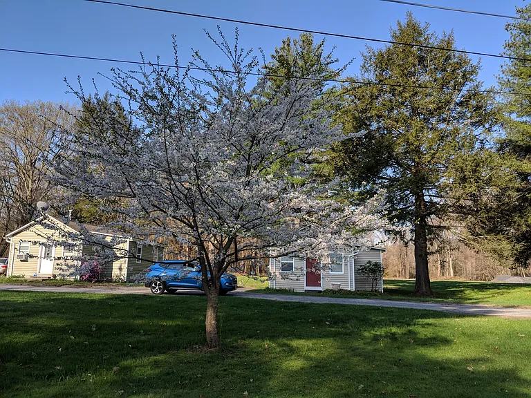 70 Webster Locks Rd — Photo 21