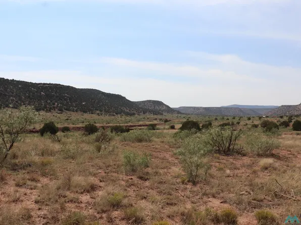295 County Rd, Trementina, NM 88439