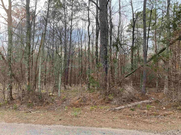 Old Union Rd, Adamsville, TN 38310