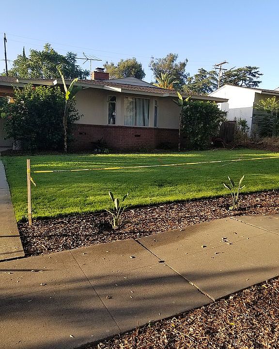 front yard