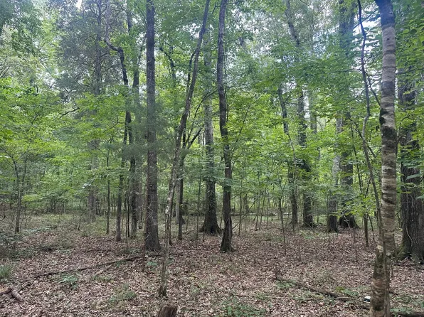 Pine Lake Dr, Terry, MS 39170