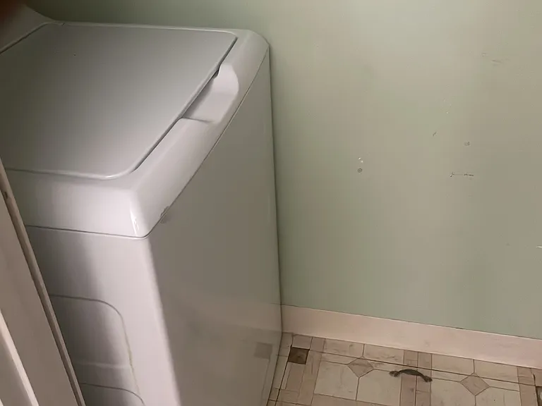 4311 Hendricks Dr — Photo 38
