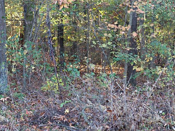 3rd image of Oak Knoll Ln