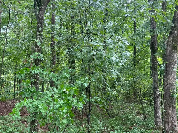 0 Boastwood Dr, White Hall, AR 71602