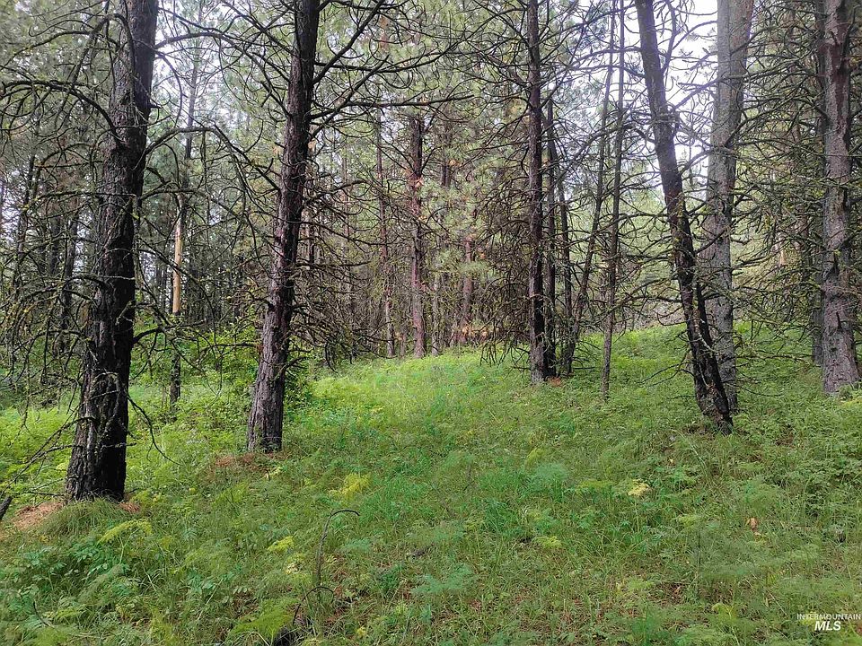 1st image of Jack Pine Rd