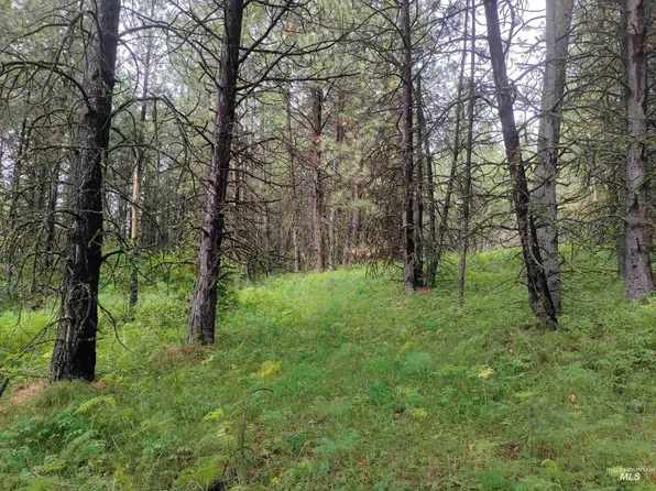 Jack Pine Rd, Cottonwood, ID 83522