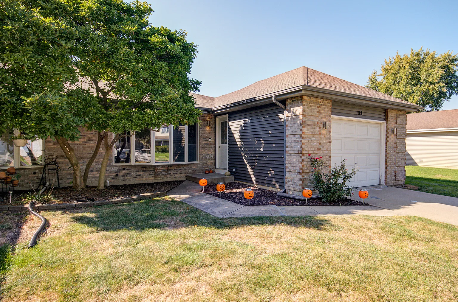 113 Ravinia Dr photo 1