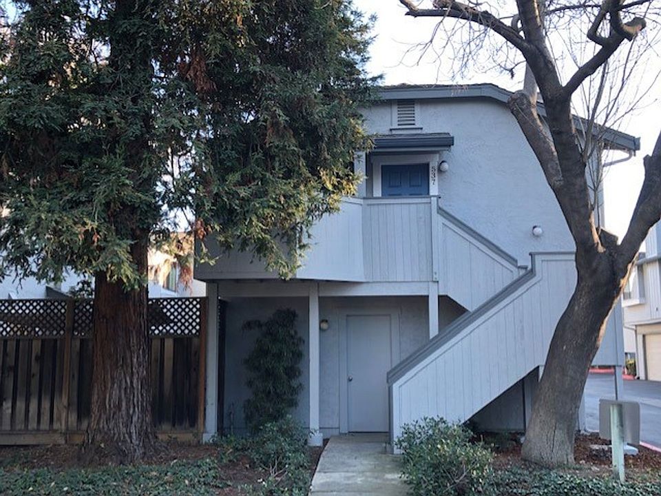1st image of 537 Holly Hock Ct