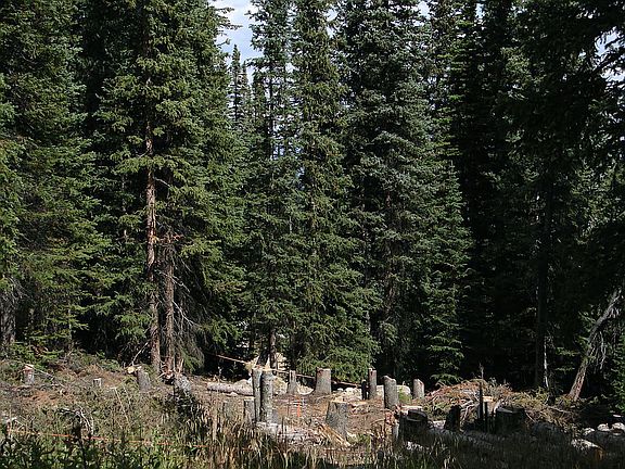 5th image of 1400 State Highway 9