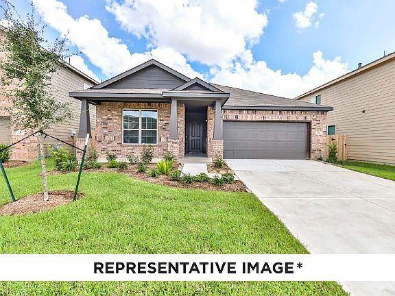 Basswood with Elevation J