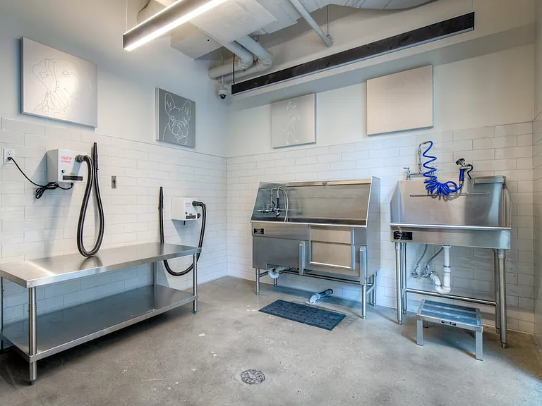 WAG dog spa with grooming equipment