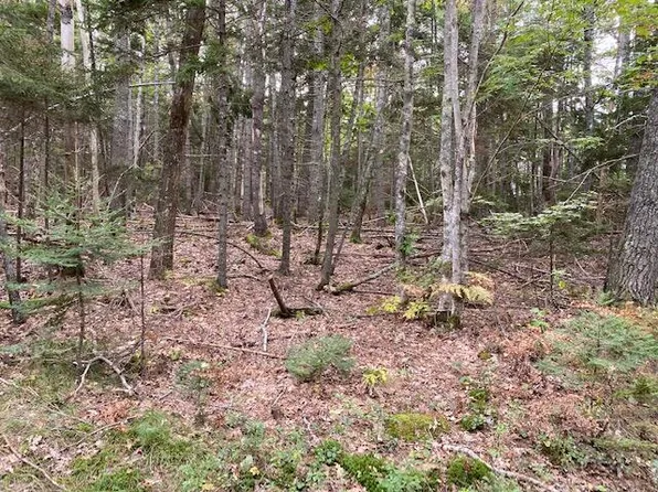 101-E Riverview Road, Bristol, ME 04539