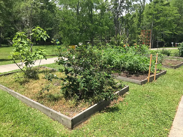 community garden