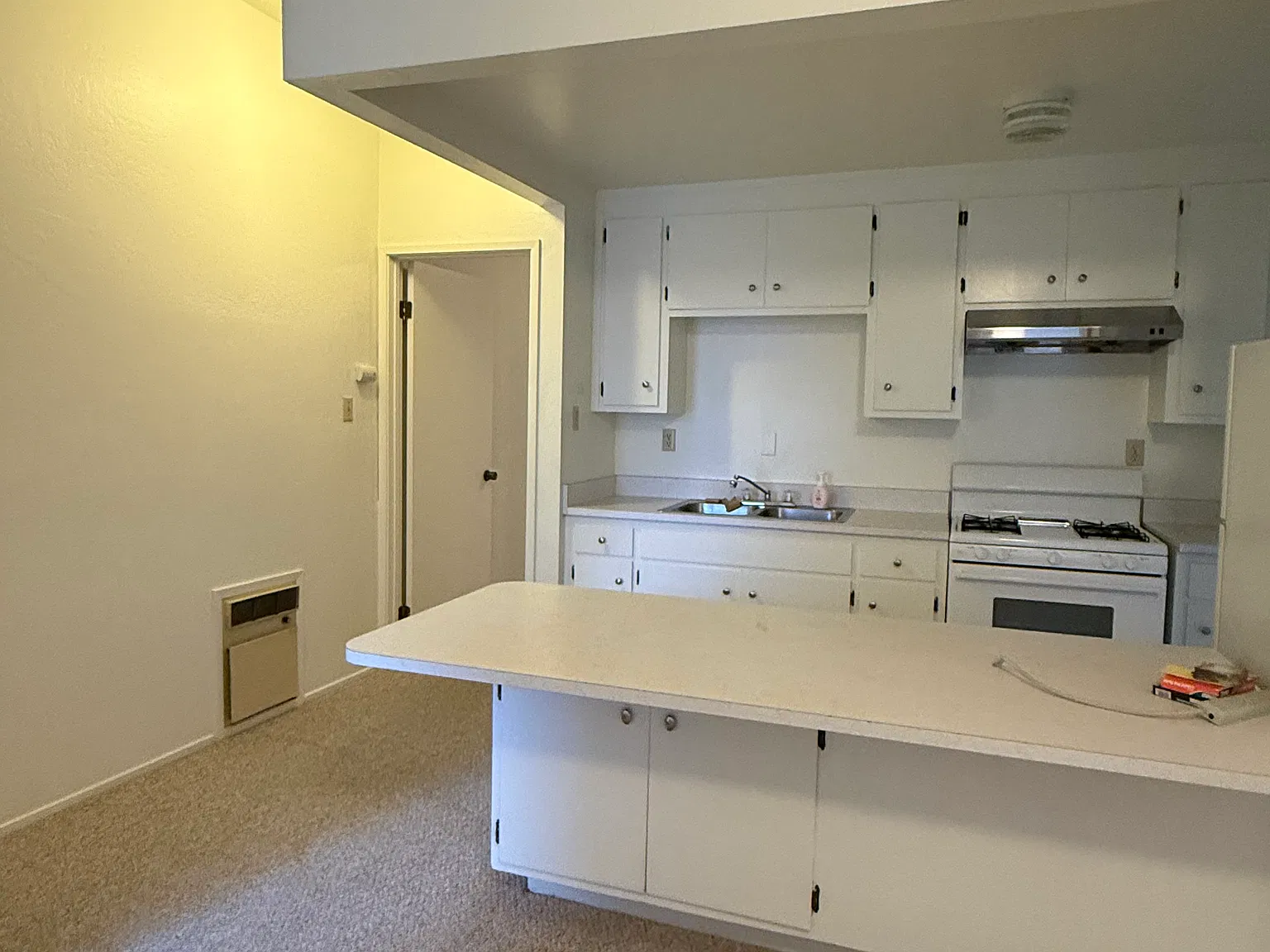 1 bed, 650 sqft, $3,000 — Photo 3