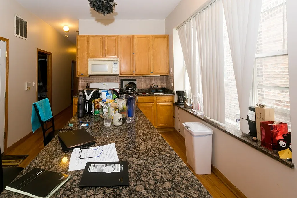 Bright 2 Bed, 1 Bath at Chicago + Leavitt (Ukrainian Village) — Photo 2