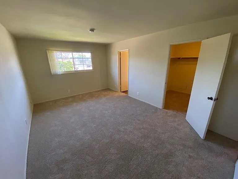 Woodland335 — Photo 8