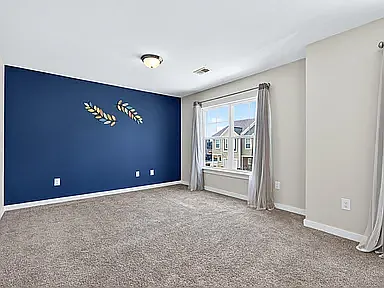 217 Button Willow St — Photo 10