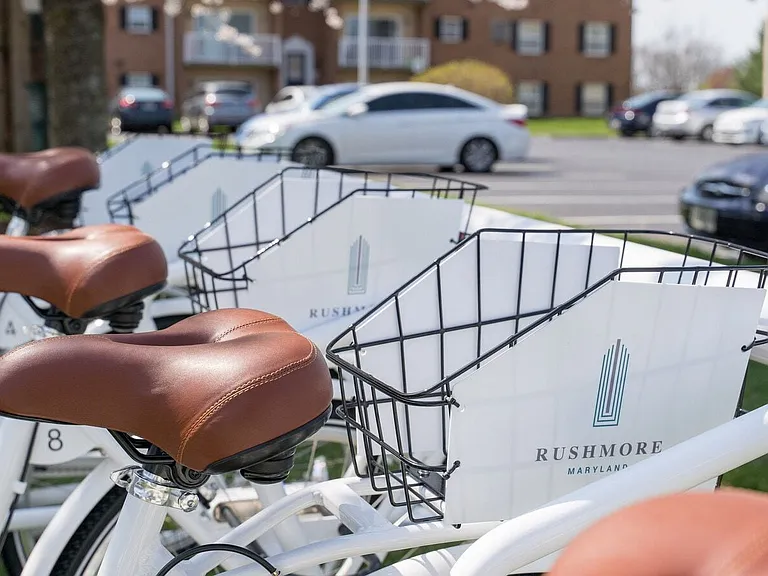 Bike Share
