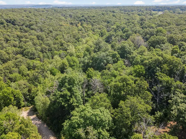 Lot 19 N Quail Ridge Lane, Fair Grove, MO 65648