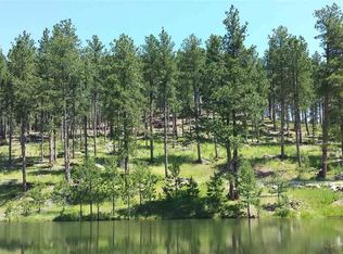 12312 Cliff View Pl, Nemo, SD 57759