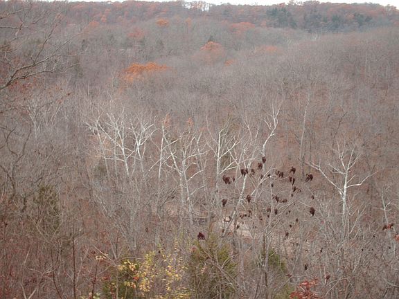 3rd image of 6299 Shady Hills Ln