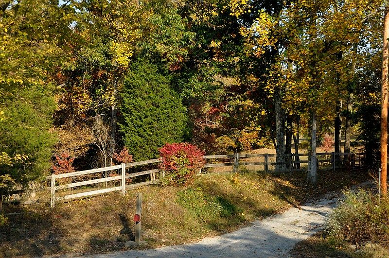 1.12 acres
						:
						This is the rectangular portion of the platte - photo 4 excellent cabin site