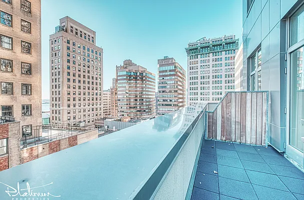 Rented by Platinum Properties | media 22