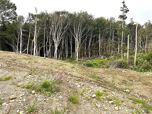 3rd image of LOT A Main Road