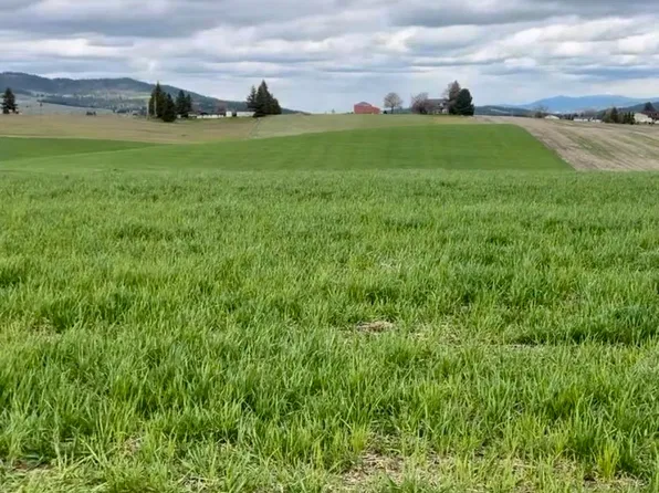 14906 S Madison Rd, Valleyford, WA 99036