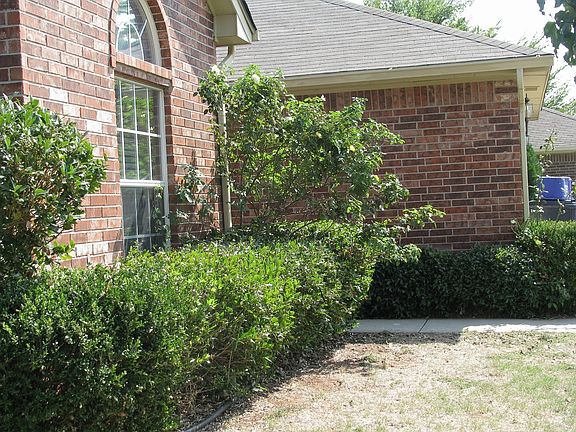 Front yard