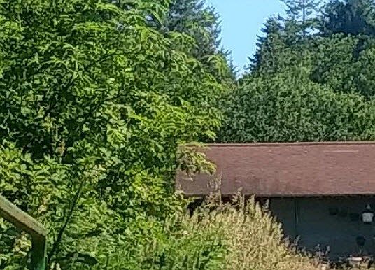 2nd image of 76 Bowes Rd