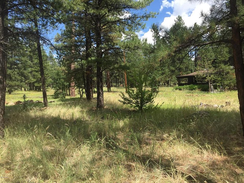 2nd image of 17175 Trailwinds Pl