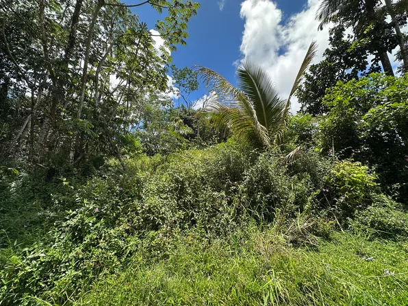 Holiday Rd Lot 600, Pahoa, HI 96778