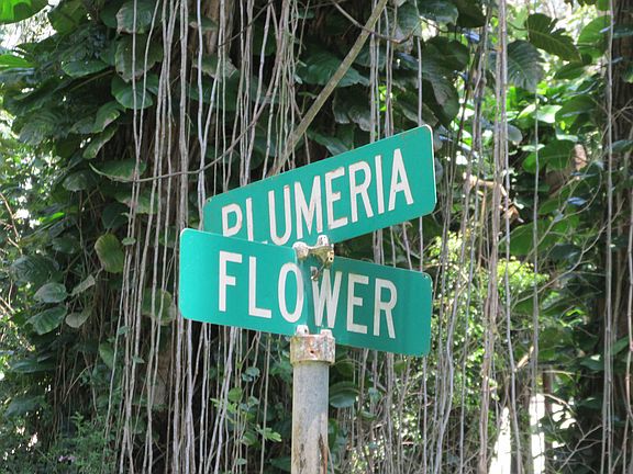 4th image of Plumeria Rd Lot 342