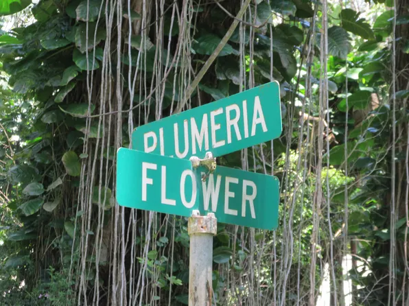 Plumeria Rd Lot 342, Pahoa, HI 96778