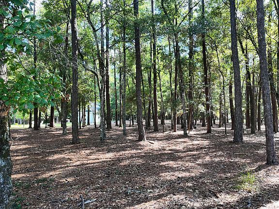 5th image of 3375 Oyster Bed Cove SW