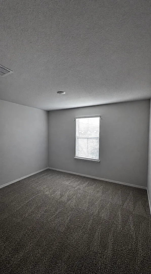 3103 Lindenwood Way — Photo 4