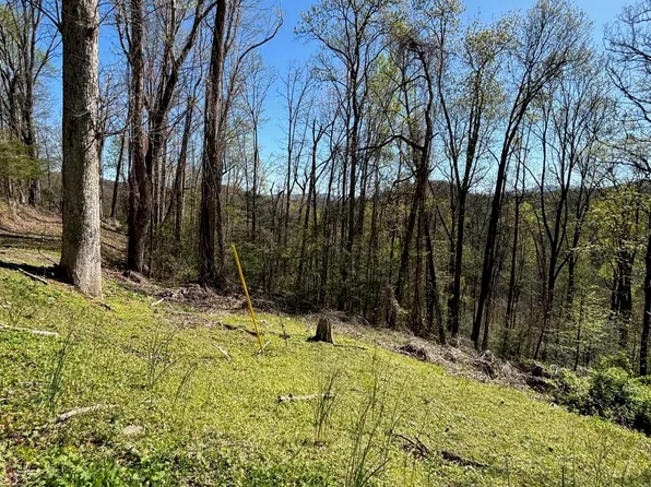 0 Low Gap Rd, Gatlinburg, TN 37738